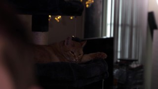 Learning to love my Canon 6D Mark II