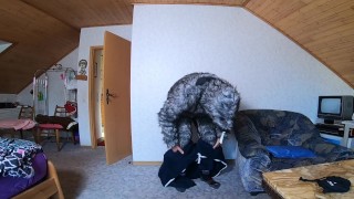 Onepiece Bondage with Winter is coming onesie
