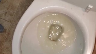 Desperation Standing Piss Into Toliet Like A Boy