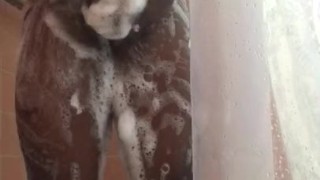 Afternoon Shower 