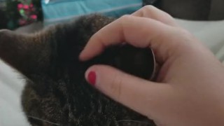 Petting