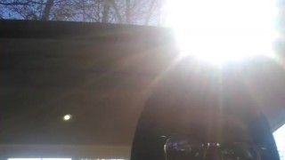 brain in the car