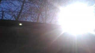 brain in the car