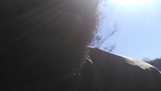 Head at a car lot