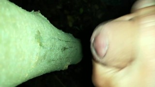 I added my cum on " cruising cum tree " ( close up cumshot )