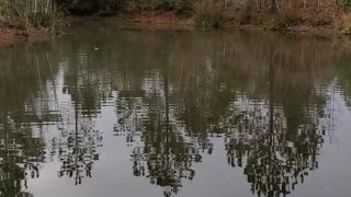 Pissing in the pond b4 hunting 
