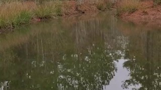 Pissing in the pond b4 hunting 