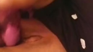 Pussy Playtime