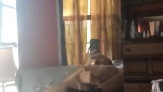 Twink jerks off (I don’t cum) 