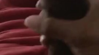 Solo dick play