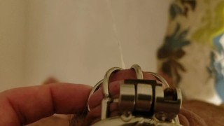 Guy Pees in the Shower while still in Chastity