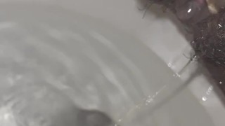 CHECK THIS OUT!!!!! Lite squirter 