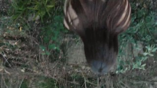 quickly in a abandoned ghost villa in Europe trip 4k 60 fps ISEEME