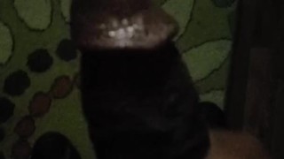 BBC ready for BBW