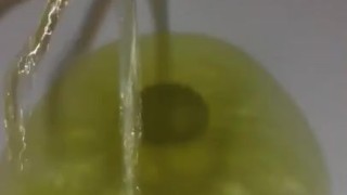 Husbands POV / Close up of Wife peeing in the toilet just before Lovemaking