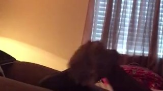 Stroking my big dick until cumshot