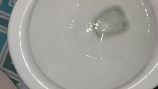 Girl Stands And Pees in Toliet Like A Boy 
