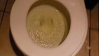 Amateur Restaurant POV Piss