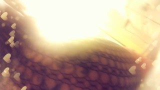 Ebony Bitch Butt Plug 