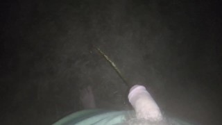Peeing in Public - 2GdI