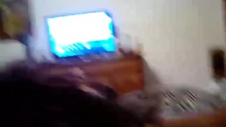 Just A Blowjob Before The Day
