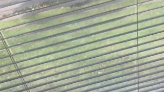 Trying To Get Caught 