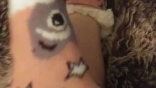 Furry Scurries