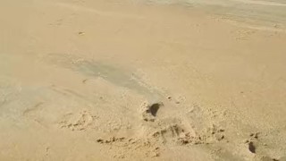 Beach desperation
