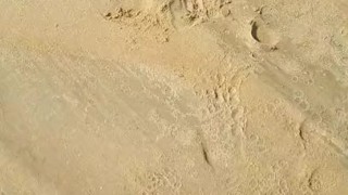 Beach desperation