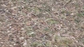 a cold walk to pee in the woods