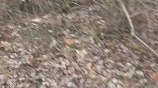 a cold walk to pee in the woods