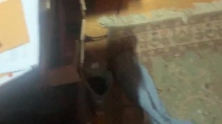 Make my big cock bounce 
