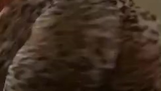 Big Ass Ebony Twerking in Bodysuit