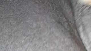 Real wet