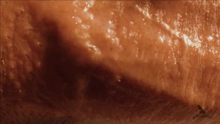 ASMR 4K Stroking My Cock Till I Cum Everywere