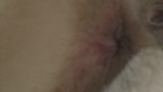 Hairy Asshole 