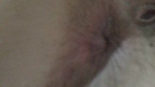 Hairy Asshole 