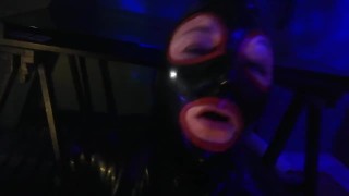Mj Petplay 