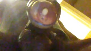 A Good Nut awhile ago..