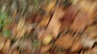 Quickie POV Piss In Public