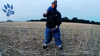 Baggy-Skater-Pup pawing off out on field sniffing Airmax 270