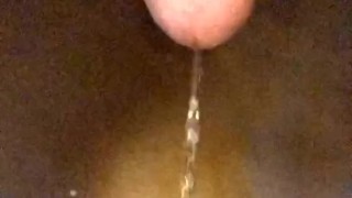 Toilet , piss fetish