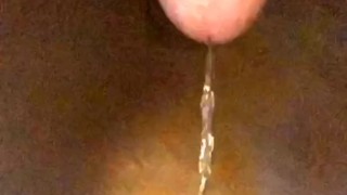 Toilet , piss fetish
