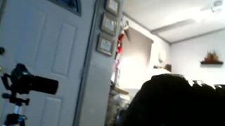 BLOWPRO AND AUTOBLOW