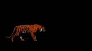 JayLaInc . Com (Google JayLa Inc)