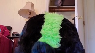 Fursuiter stuffs hole