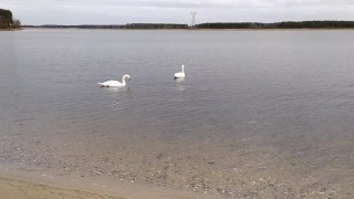 Milf walking on beach near lake and show her underwear