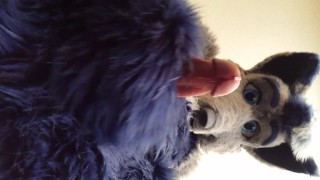 Furry Pawing Over You