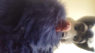 Furry Pawing Over You