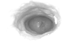 The Storm Before The Calm: Internal camera only.